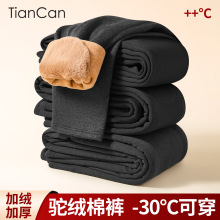 天蚕羊毛保暖裤男加绒加厚冬季内穿护膝护腰宽松大码中年驼绒棉裤
