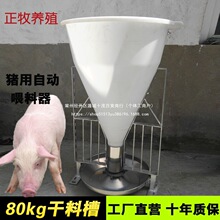 80�����Ͱ�i�ϲ��Ԅ��ϲ۲�ʳ�������iι�����i���Bֳ�O��Ĭ�J�