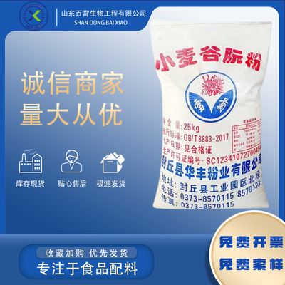 雪菊小麦谷朊粉 食品级增稠剂烤面筋专用粉 家用商用 谷朊粉批发|ru