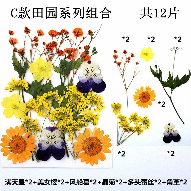 12 화단 시리즈 3