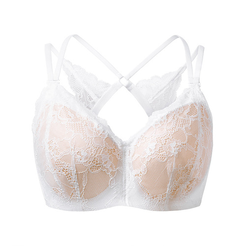 Foreign trade large size French lace big breast beautiful back bra with steel ring to push up the big breasts and make the small butterfly bra fat