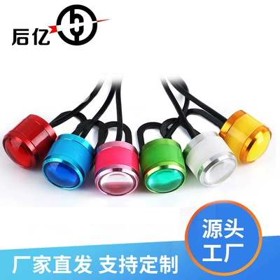 Cross-border direct supply motorcycle 23mm Eagle Eye light mirror light flash modified light 5630-3 colored light rearview mirror light shooting (License plate lamp)