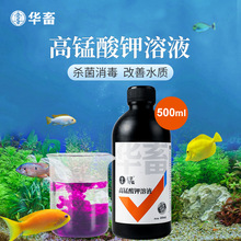 高锰酸钾鱼用消毒液鱼缸消菌药净水剂植物乌龟养殖场高猛酸钾溶液