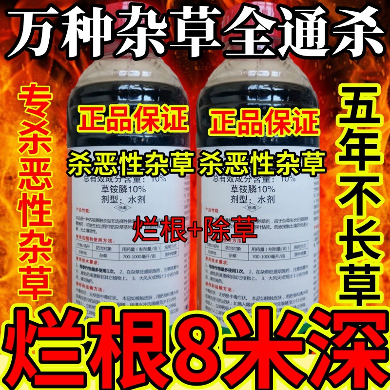 杀草快高浓度精草铵膦铵盐果园牛精小飞蓬各种杂草死根烂根不返青