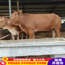 ţ sţ SţСSţ SţЈB