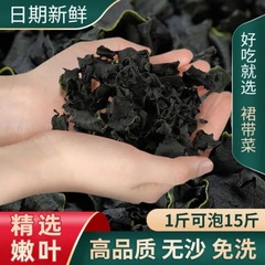海辺の特産品乾燥わかめ大わかめプレート大葉海藻泡髪スープ海藻干物卸売り