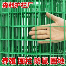 BֳWoWFWoڸxFzWr䓽zWPuBuھW