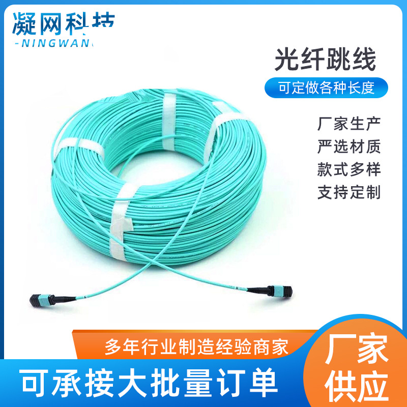 MPO-MPO 12芯5米10米20米50米100米万兆MTP光纤跳线