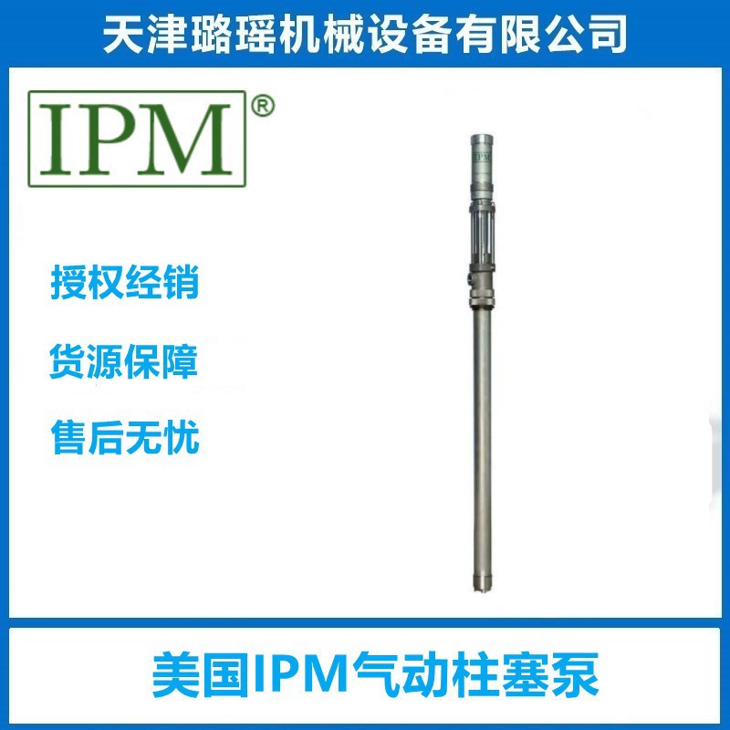 美国IPM气动柱塞泵IP01SST,200升标准桶插桶泵,1：1气压比