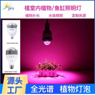 ���R�d LEDֲ�����L�������a����҃�ˮ���~�ן��������ݟ�