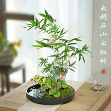 ɽˮ�����辰ˮ�B�t���^��������Gֲ�k���҃Ȳ�̨�͏d�ϰ�������