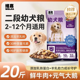 1-12�����ɹ��Z�̸�ZС�̹�С��Ȯ̩����Ȯ�Z��ë�Ϻ�����