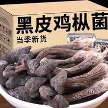 ��Ϻ�Ƥ�u������؛һ��؛Դ֧�����һ�����l���S��؛���l