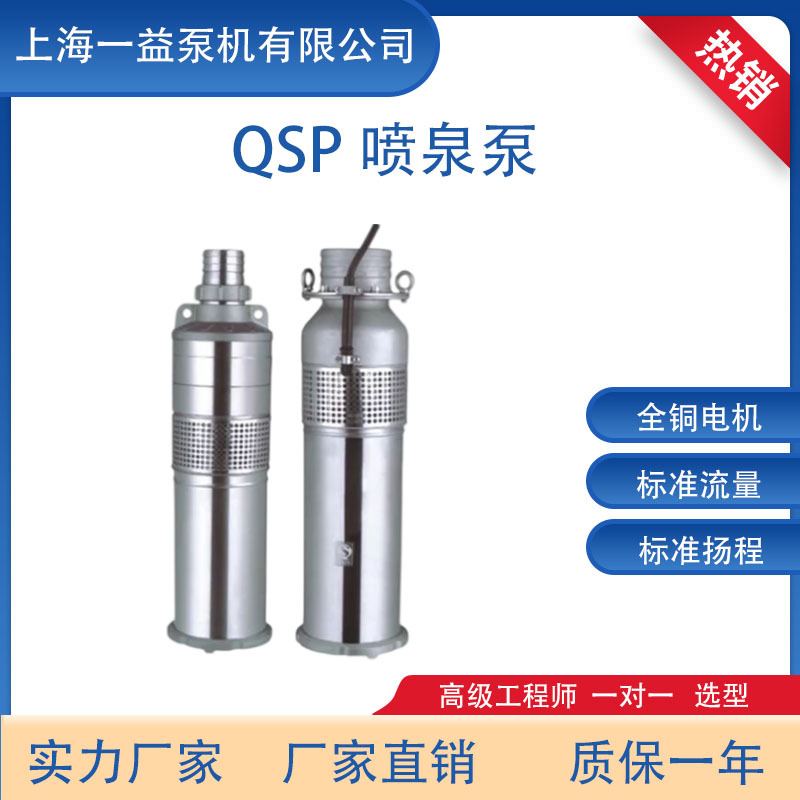 QSP系列喷泉电泵 喷泉潜水电泵深井潜水泵