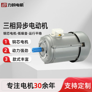 �S�ҹ���YS-Wϵ�����ஐ��늄әC