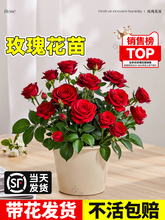 �tõ�廨�����Ԏ������Nޱ�¼����̨�҃����ļ�����ܺ��B���l