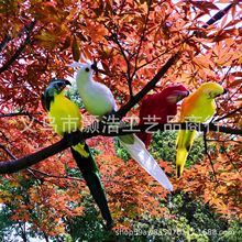 35cm复活节鹦鹉，彩色鹦鹉，喜鹊，真羽毛小鸟，假鸟，工艺品道具