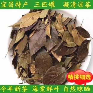�����˲��������ƥ��Ұ�軨�t���~�����~һƥ�ޛ�����