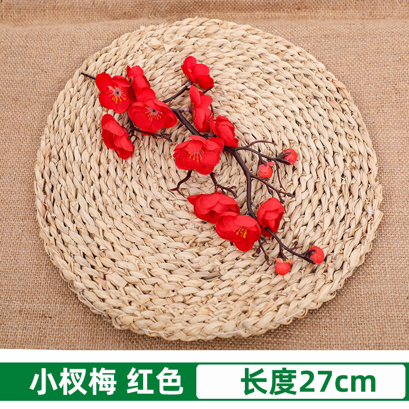 빨간 작은 자두