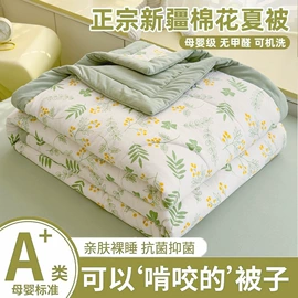 纤维被;床单、被单;床罩床笠