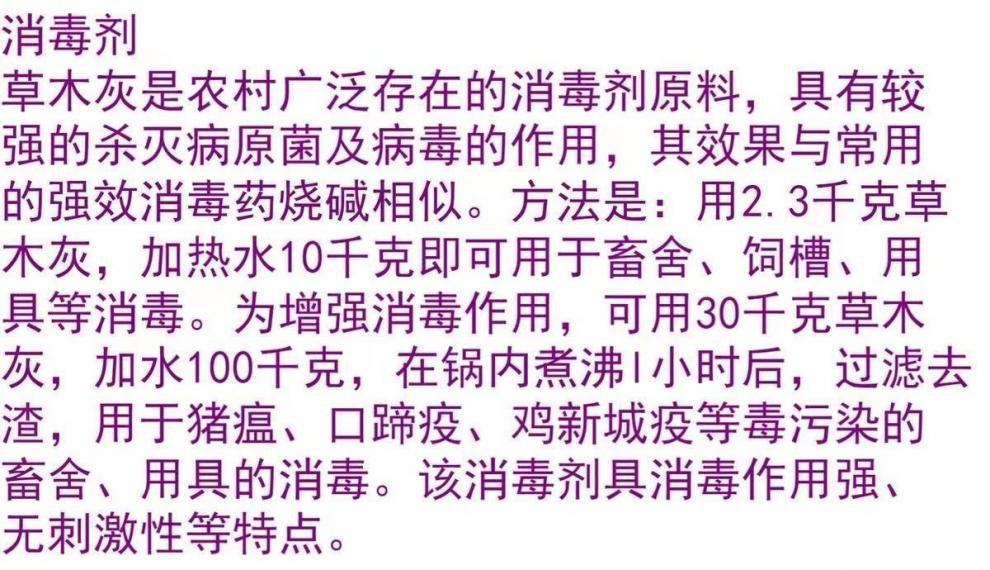 e5b81b8e-9c27-4500-ac96-99baa2918950.jpe