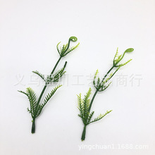 15cm��˹���R�� ���Ϸ���ֲ�� ����ˮ���쾰ֲ��b�Ʒˮ�����