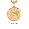 Sophisticated zodiac signs stainless steel, necklace, brand coins, pendant, European style