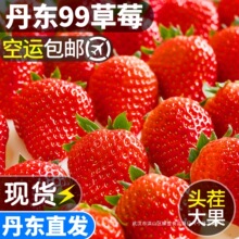 ���ڵ��|99��ݮ���r����;ž���ţ�̲�ݮ�Y���b������\����ˮ��