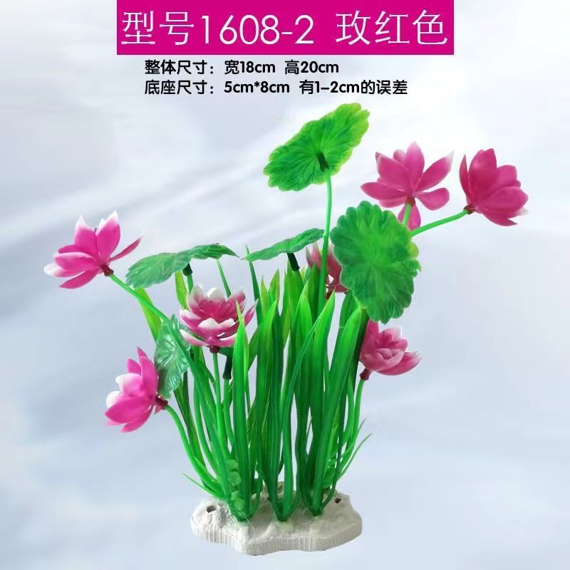 장미 붉은 연꽃 1608-2