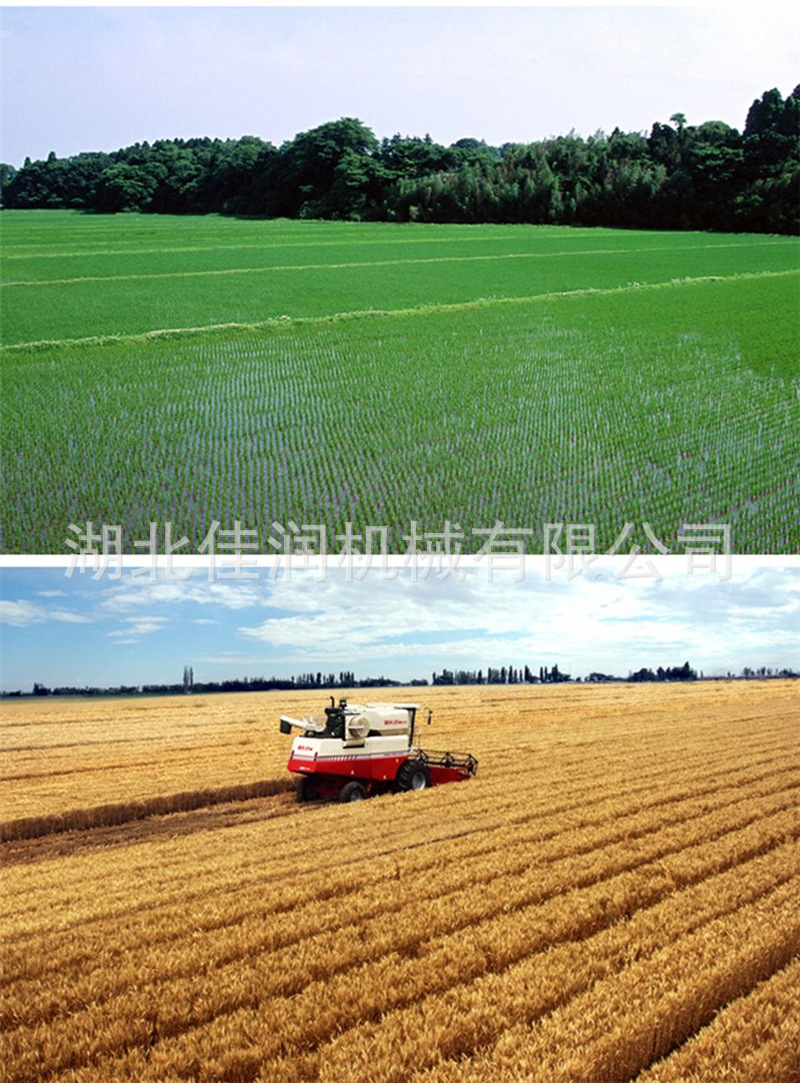 PET育苗盘机插硬盘手抛盘7寸机插育秧育苗盘