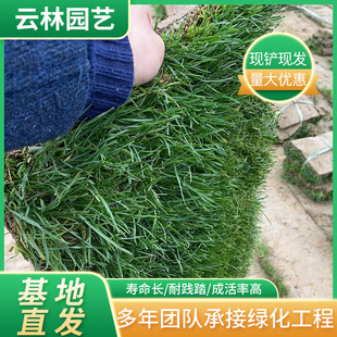 ̨�����ƺ �o���ļ����ƺ�ݾ��݉K �e������С�^�G�����ò�ƺ