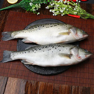 �����|�~���r���|�~Ұ�����~���ǻ��|�~�����~���rˮ�a2������