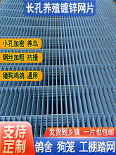 �L����\�F�z�WƬ���\�������̤�W����\�Bֳ䓽z�W�Ӵּ��ܾW��