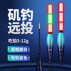 磯釣り電子フロート、大型深層湖ナノフロート、遠投、滑りやすいフロート、海釣りフロート、夜光フロート