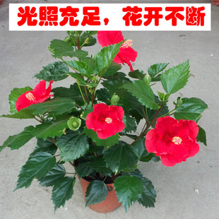 ��ɣ����������誘��������̨ͥԺ�ļ��_����ɣ���ذ��ͺ�����