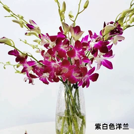 鲜切花;干花;栽培基质