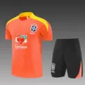2526 brazilian orange training set