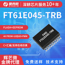 ��â΢FT61E045-TRB FT61F045-TRB TSSOP20 ADC+PWM ������оƬ
