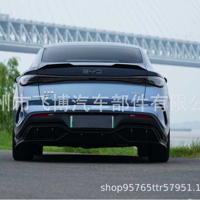 Suitable for the 2024-2025 BYD Fixed wind wing
