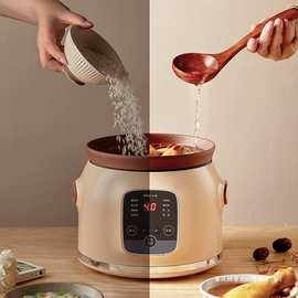 Bear/小熊 DDG-D20N1 紫砂电炖锅智能家用全自动陶瓷熬煮粥煲汤锅