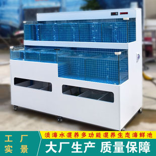 Seafood Pool Commercial Refrigeration Integrated Seafood Pool Seafood Fish Tank Shellfish Pool Supermarket Hotel Restaurant Commercial Seafood Tank