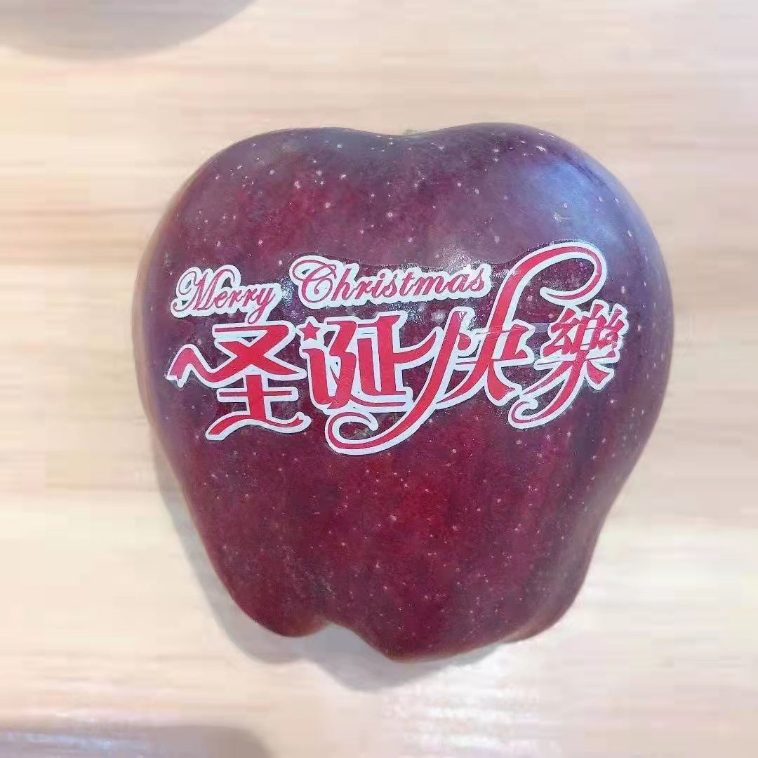 Navidad paz fruta marca de agua pegatinas Apple UI pegatinas mágicas 27 piezas Feliz Navidad bendición pegatinas seguro y feliz