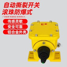 L˺_PZLK-1քi˺љzyDB-100v˺т