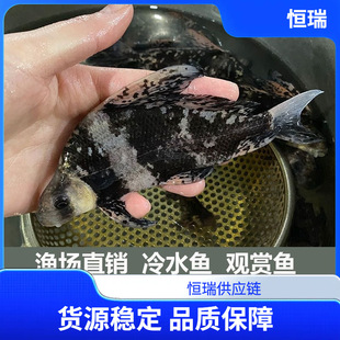 �^�p�~��ˮ�~��ˮ�~һ���L��~���w�~�����F�~���B�c���~�\�����B