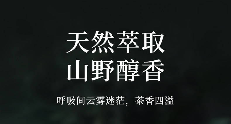 Car Interior Tea-Scented Car Fragrance 2025 New Solid Balm Perfume High-End Long-Lasting Fragrance to Remove Odors
