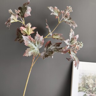 �����֦���~�����~��������؛Դ�ҾӘӰ��g�b�ֲ���~�ļٻ����l