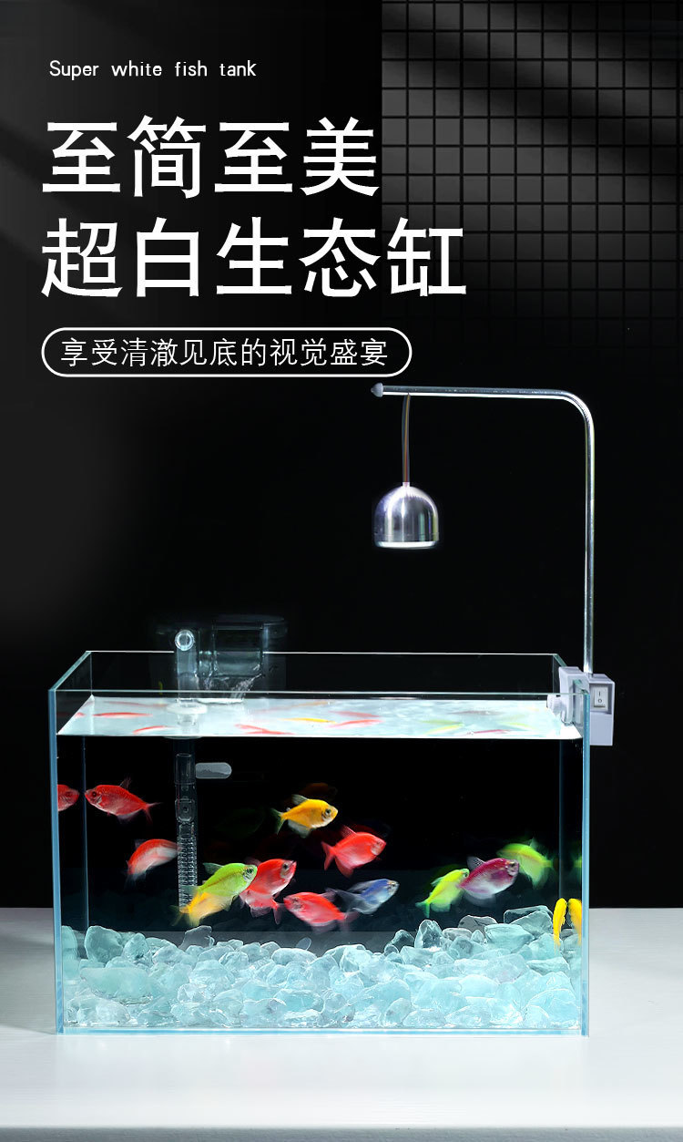 39ed6eeb-3631-4eac-a767-6b8025cb4711.jpe