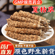 野生夏枯草中药材旗舰店正品新鲜干货白毛夏枯草球夏菇草夏估草茶