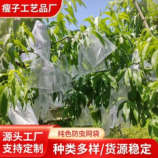 定制水果防鸟防虫网袋瓜果保护透光透气套袋枇杷葡萄桃子网纱袋子