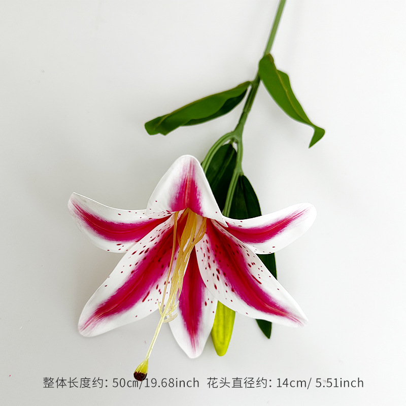 화이트 엣지 로즈 레드